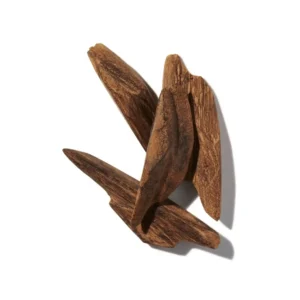 Note olfactive Oud